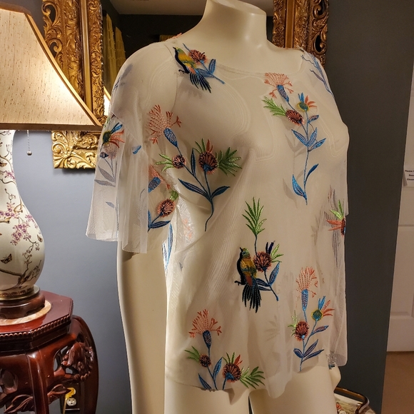 Sheer Top - Picture 2 of 7